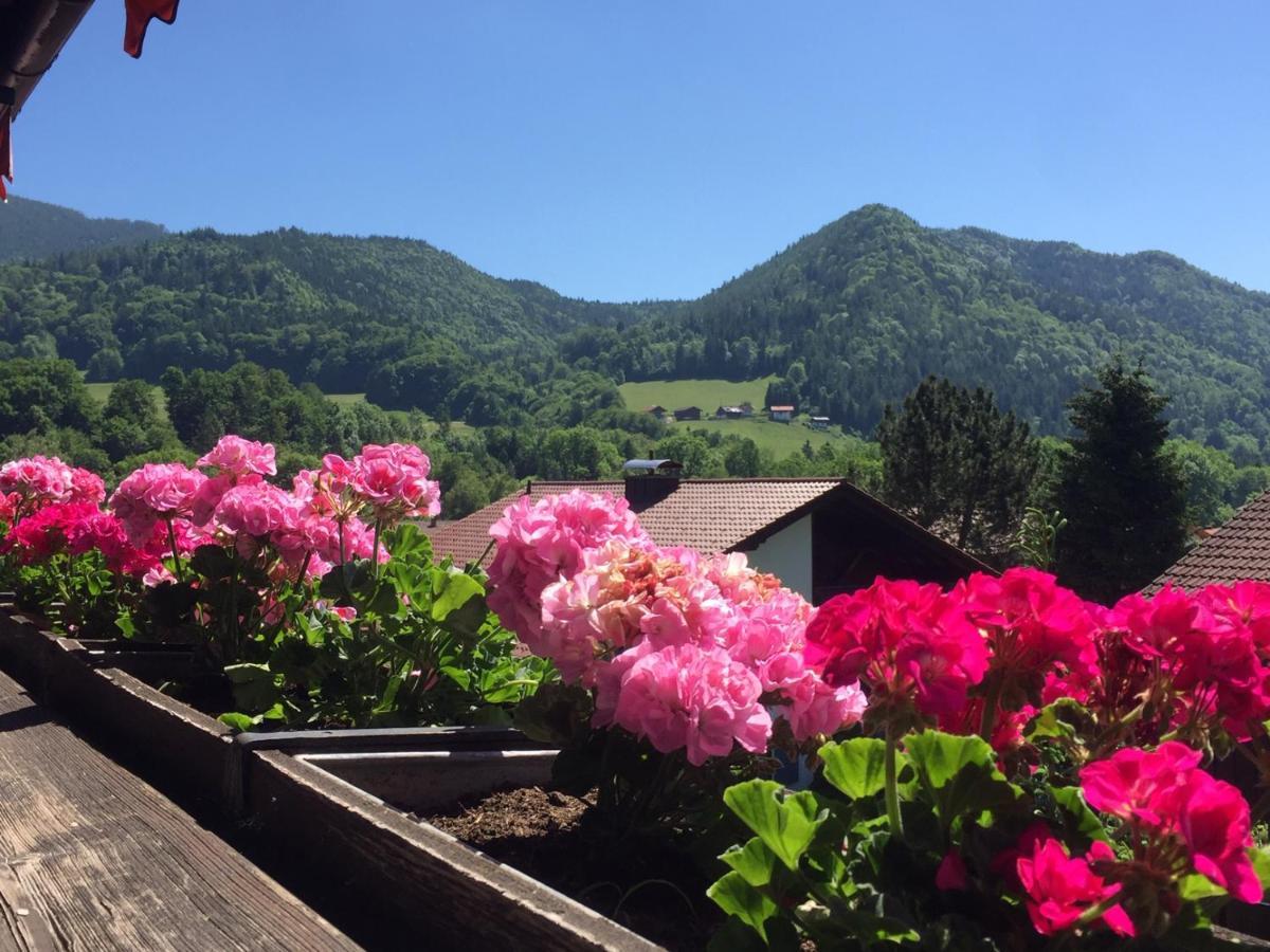 Ferienwohnungen Gaestehaus Sonnenkreis Ruhpolding Kültér fotó